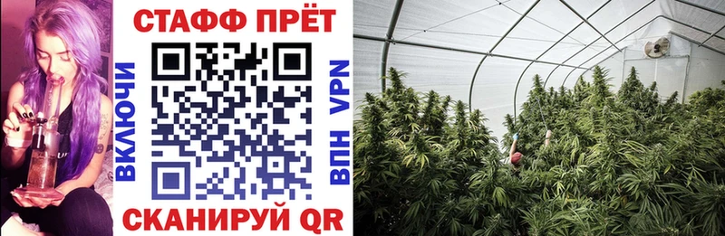 Купить наркотики сайты Анадырь СК  COCAIN  mega маркетплейс  ГАШ  Мефедрон 