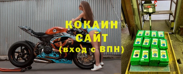 гашик Михайловск
